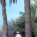 YBS012