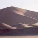 YBS031
