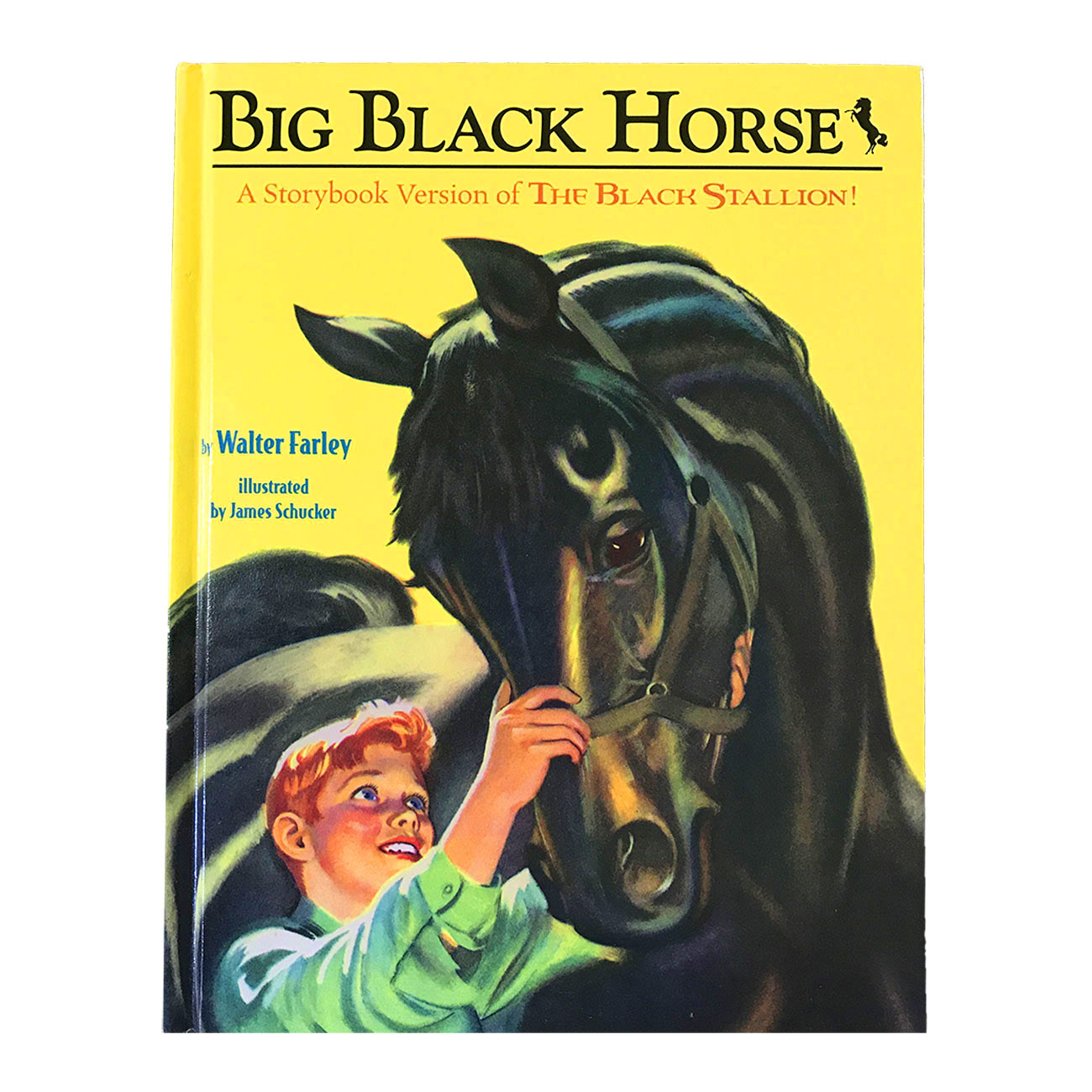 Big Black Horse – Beginner Picture Book