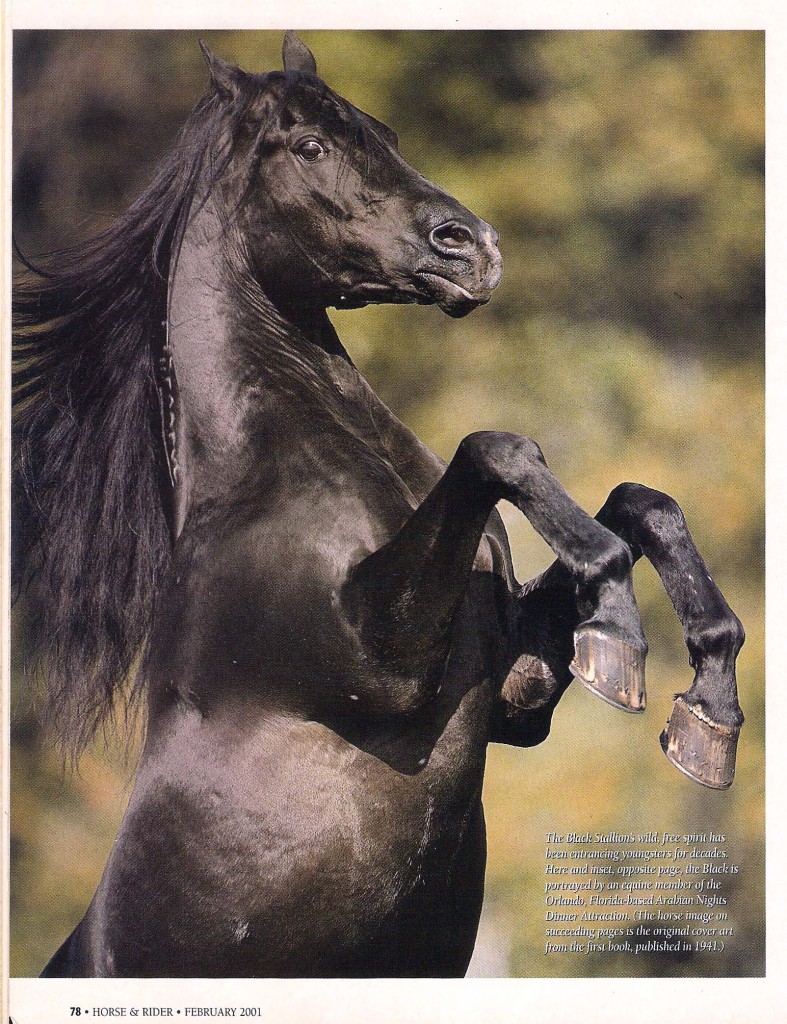 Fade To Black / Horse & Rider The Black Stallion