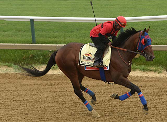 139th Preakness Stakes - Previews