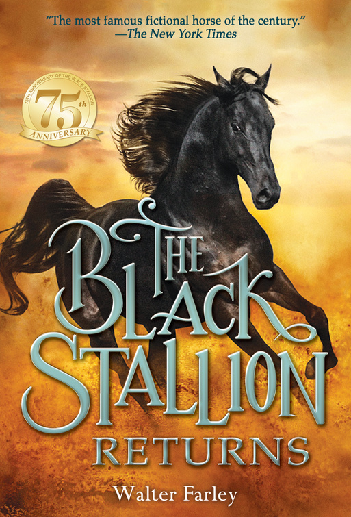 Black Stallion Returns cover 2015