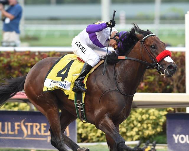 Nyquist the FL Derby11